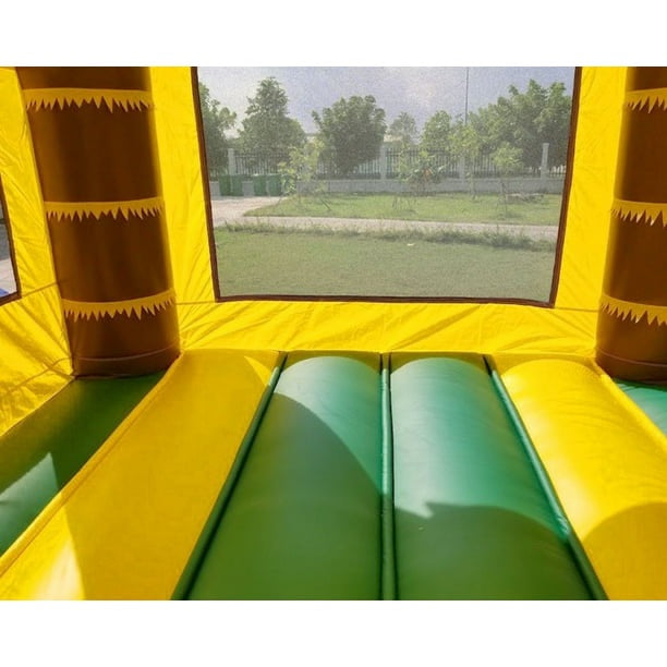 Tropical Bounce House/ Water Slide